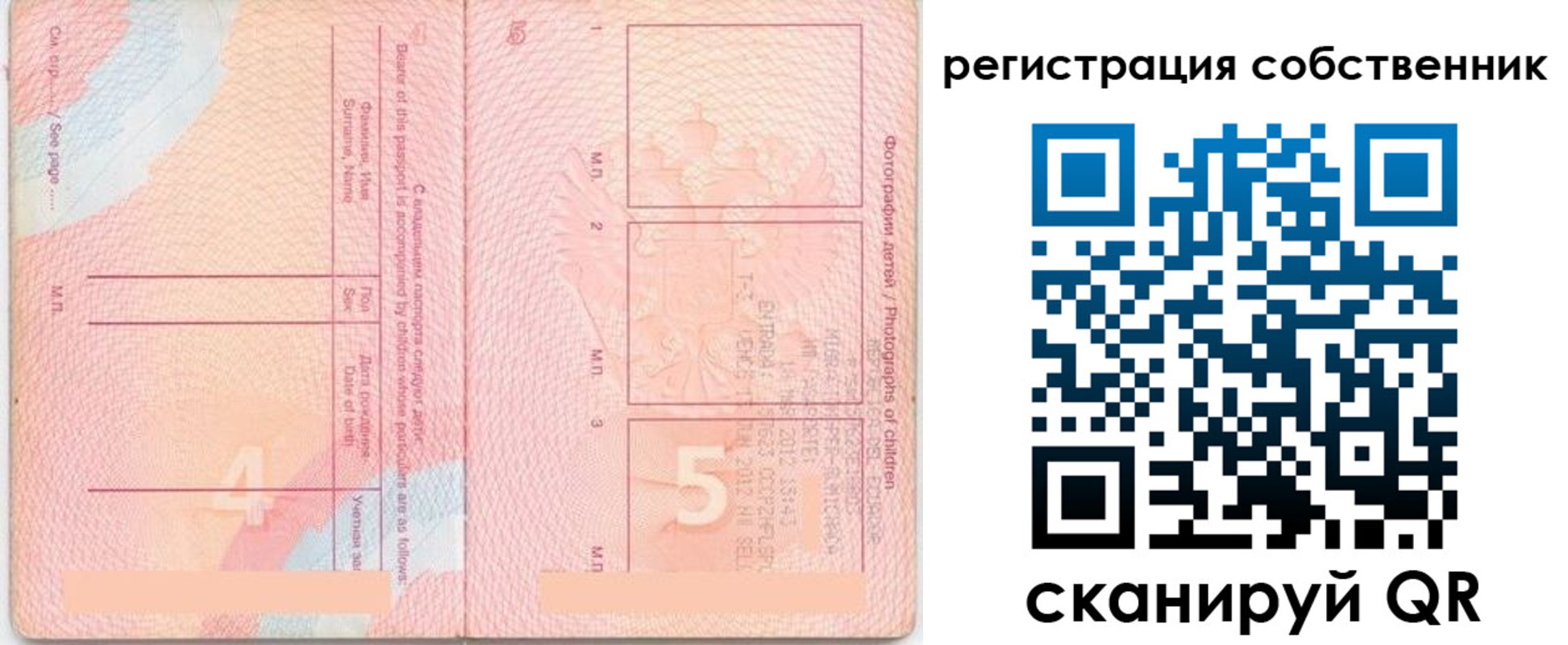 прописка ребенка в Бийске